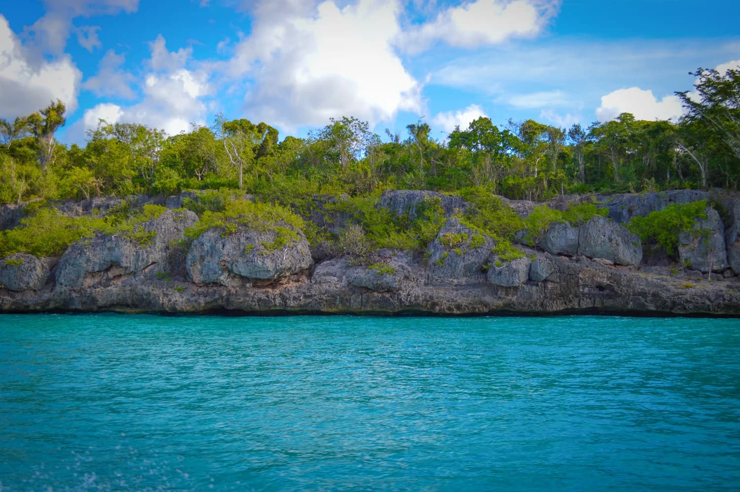 Isla Saona desde Bayahibe: playa y catamaran 3
