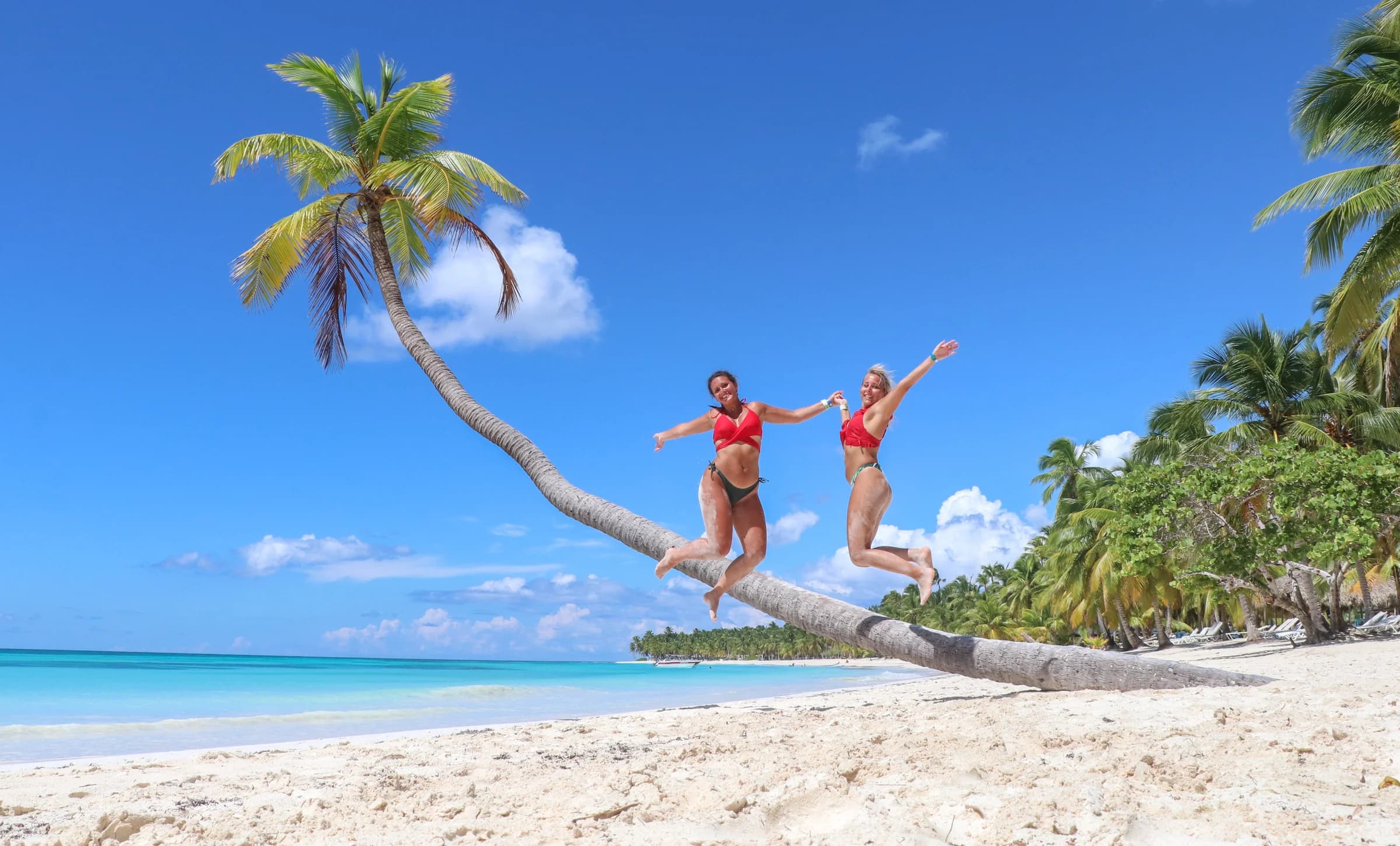 Isla Saona desde Punta Cana con entradas incluidas 4