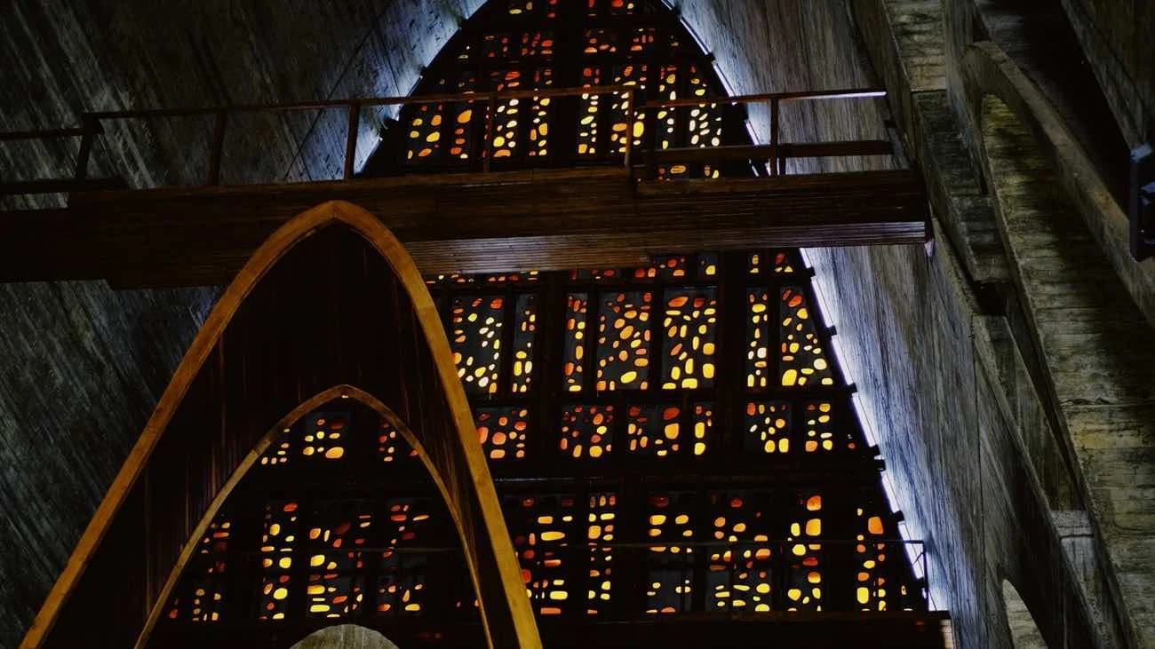 Safari cultural desde Punta Cana: campo y degustaciones 3