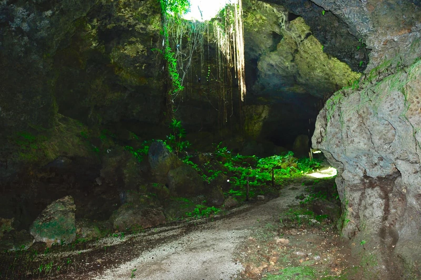 Laguna de Nisibón Adventure + Buggy 2