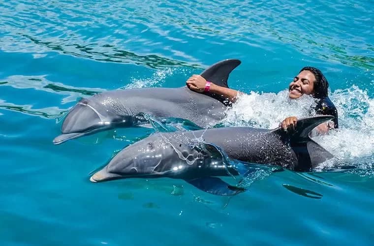 Parc aventure Ocean World Puerto Plata 5