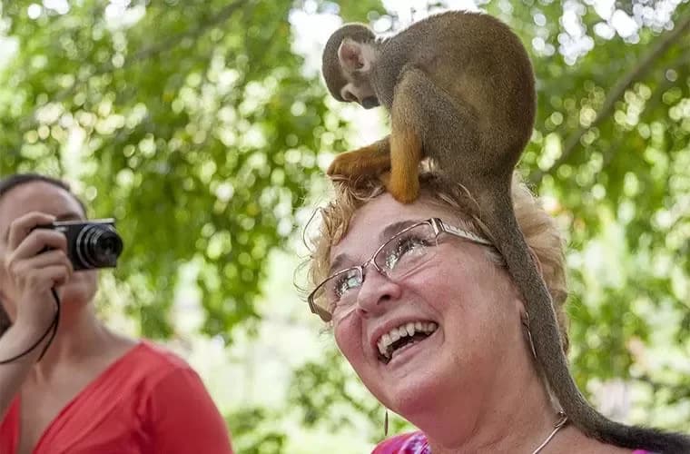 Tour Monkey Land Punta Cana 4