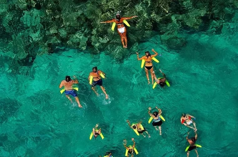 Marinarium Snorkeling Cruise in Punta Cana 4